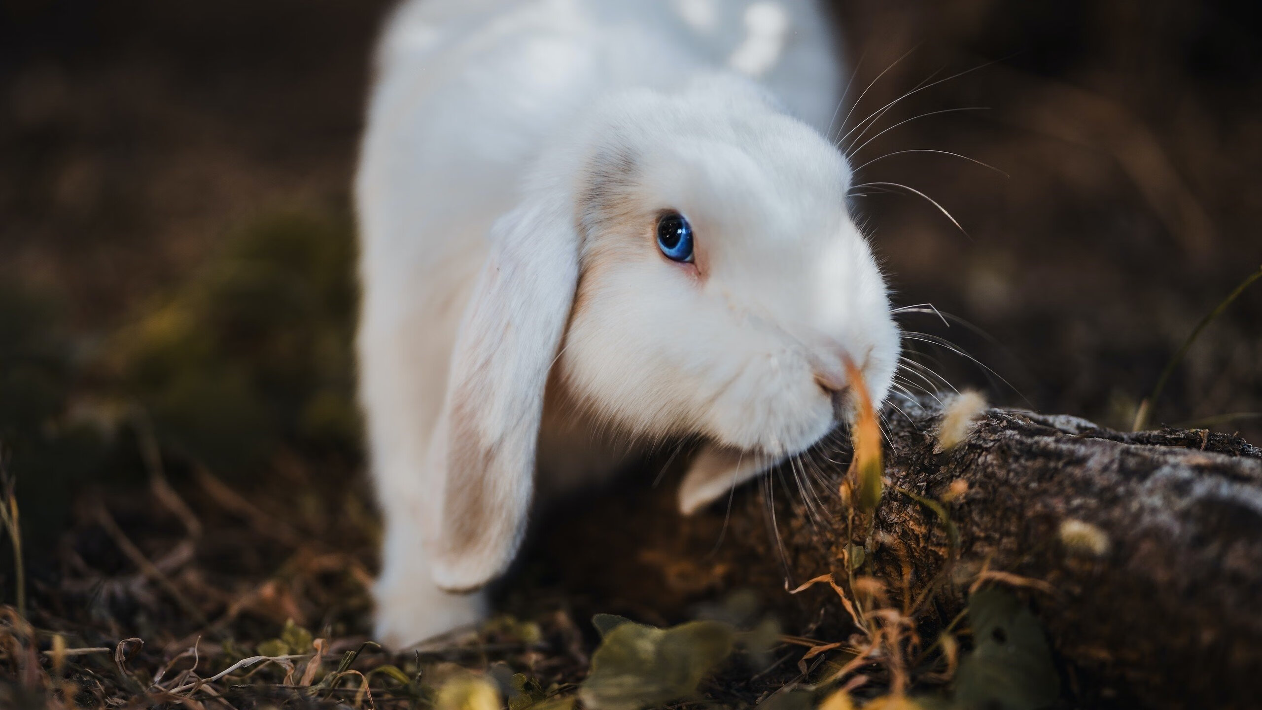 乐鱼体育登录入口-李娜与前世界第一重逢拥抱合影，李娜与前世界第一重逢拥抱合影视频